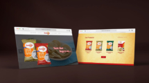 UI/UX Design_Swadgaar
